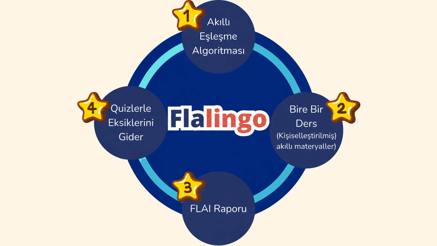 Flalingo Öğrenme Döngüsü