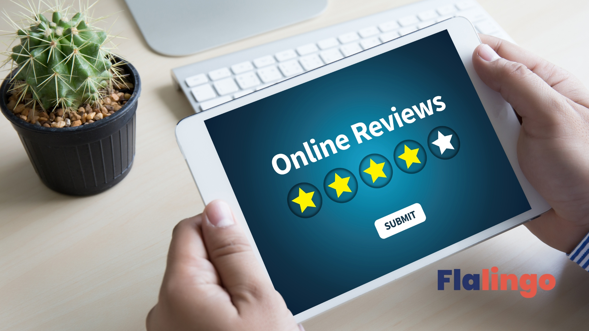 Flalingo Review: AI-Powered Online English Education