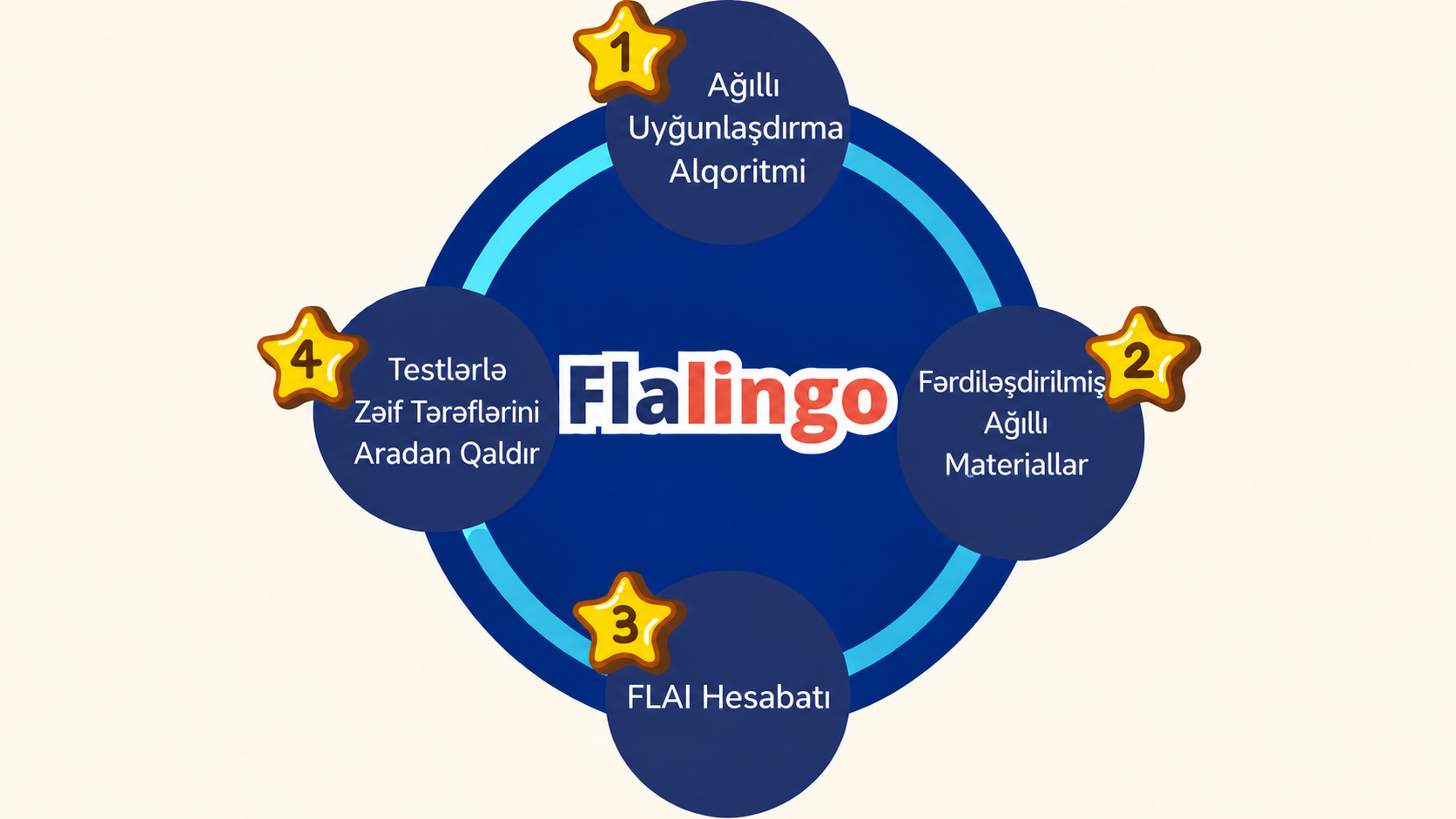 Flalingo Öyrənmə Dövrü.