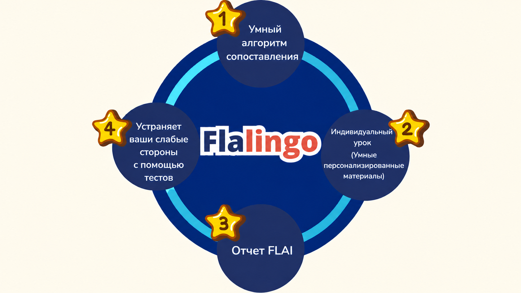 Цикл обучения Flalingo.