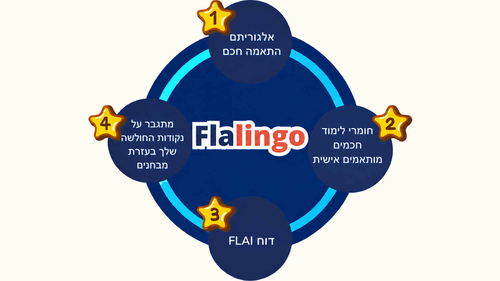 מעגל הלמידה של Flalingo.