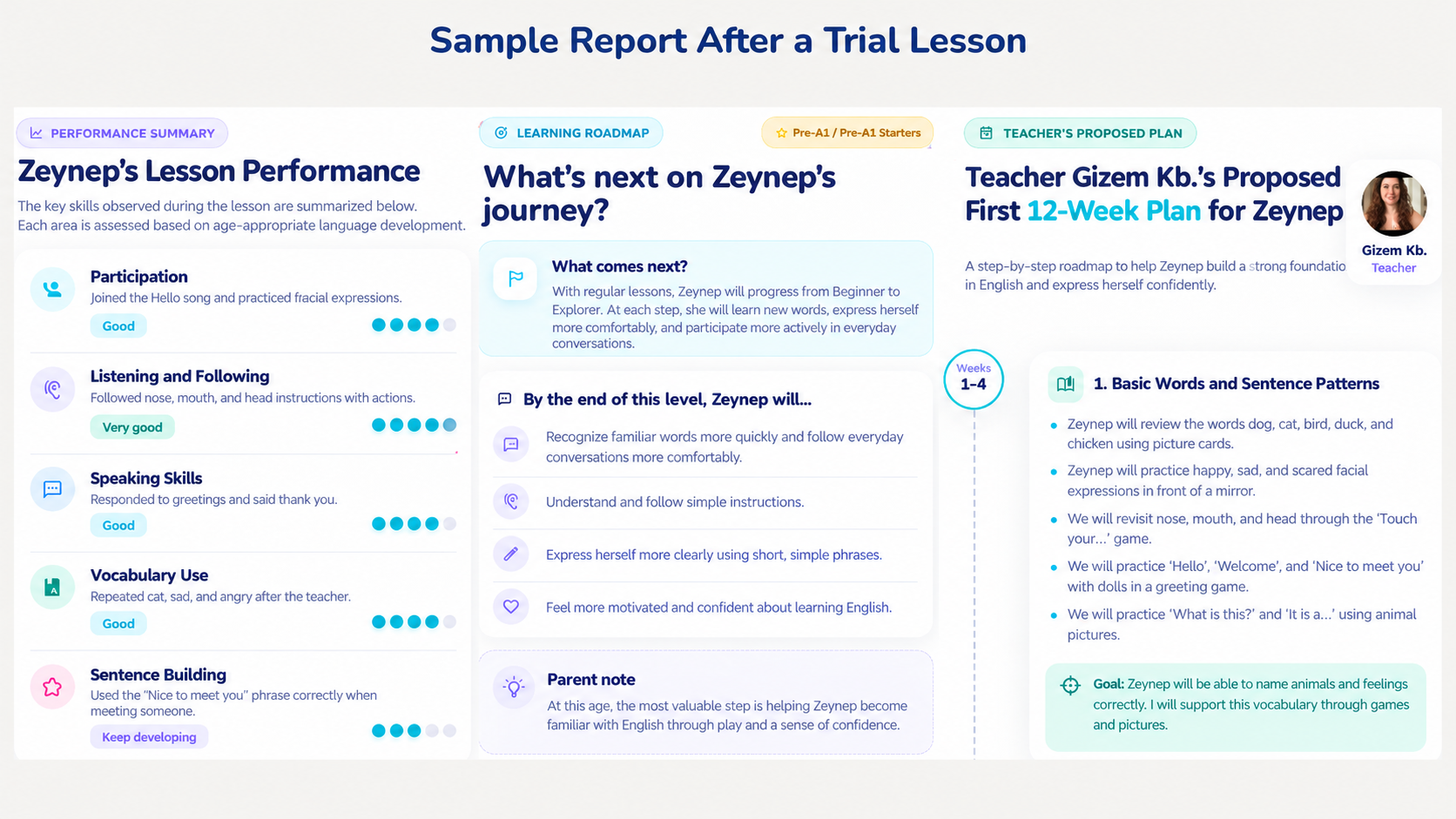 Report after the trial lesson II