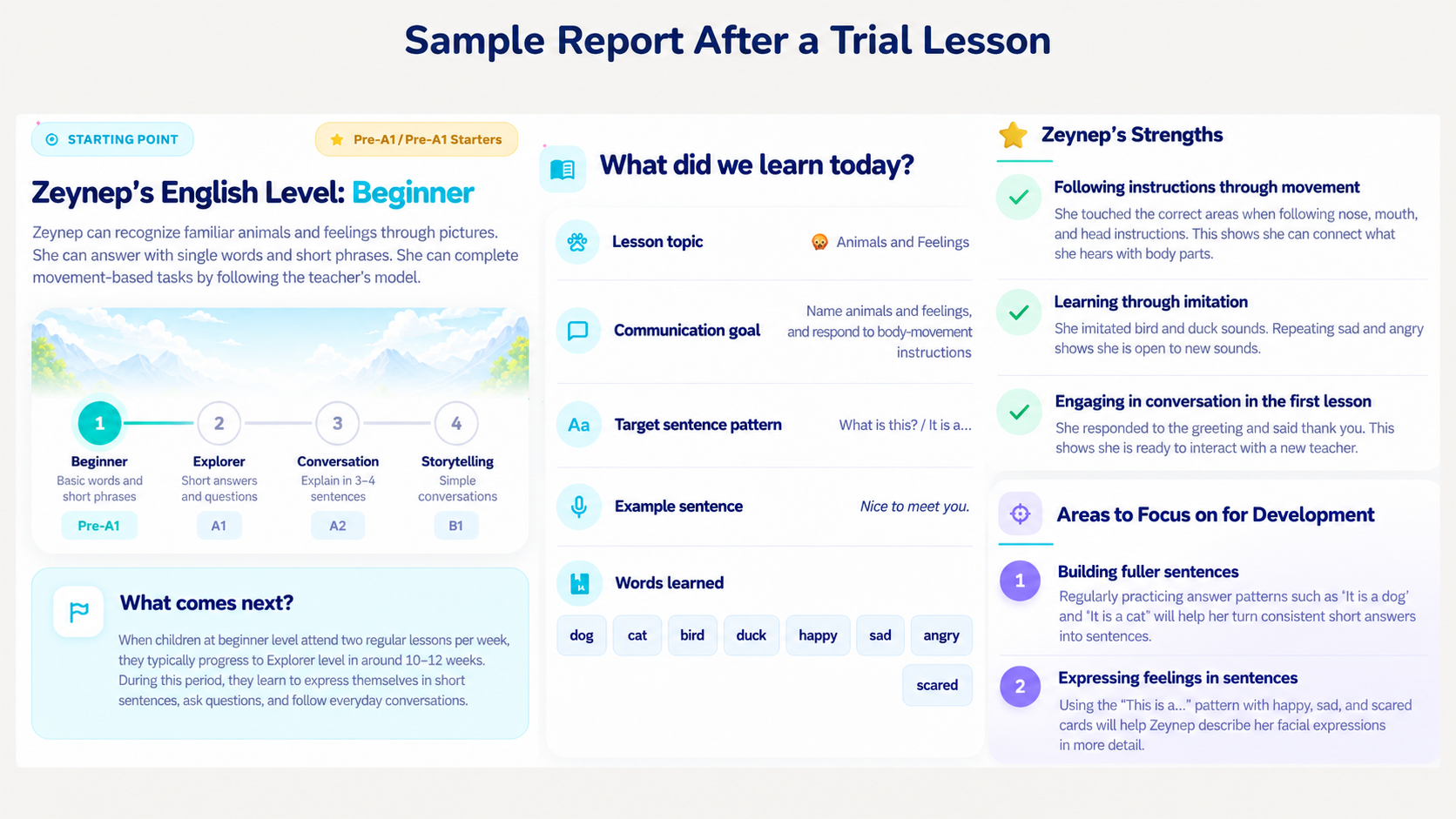 Report after the trial lesson I